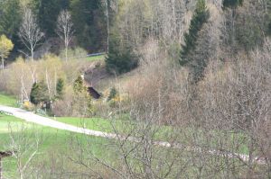 Bild 2: Ferienhaus Christine im Schwarzwald