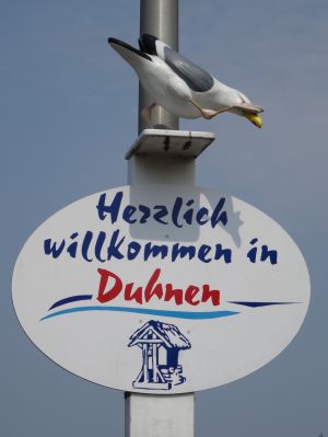 Bild 19: FeWo Möwenkoje Strandlage Cuxhaven Duhnen, Kinder willkommen, WLAN