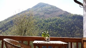 Balkonblick auf Monte Riga Zwischen Haus und Monte Riga: Schlucht des Cannobiner Tals (Berg nicht zu Fuß erreichbar)