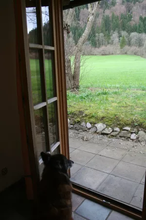 Bild 3: Ferienhaus "Häusl" in Pfronten im Allgäu