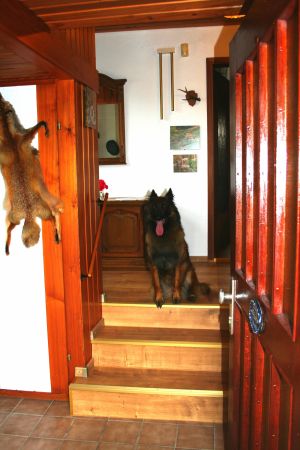 Eingangsbereich mit Garderobe