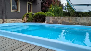 Hunde dürfen gerne mit an den Pool, aber nicht in den Pool