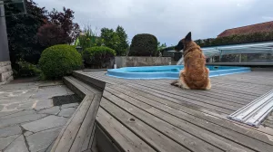Bild 32: Ferienhaus Gabriela mit eingezäunten Garten und privatem Swimmingpool