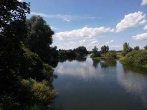 Bild 13: Ferienwohnung Kribitz Hodenhagen