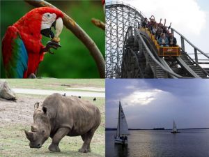 Bild 14: Ferienwohnung Kribitz Hodenhagen