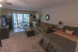 Bild 5: Reiten, Segeln, Golf, Internet, Raucherecke - 55m2 Wohnung Arkansas