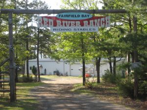 Bild 11: Reiten, Segeln, Golf, Internet, Raucherecke - 55m2 Wohnung Arkansas