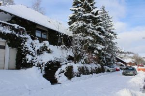 Das Ferienhaus EifelNatur mit den Wohnungen EifelNatur 4 und EifelNatur 5 mit Blick von der Straße.