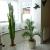 Galeriebild 3