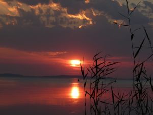 Bild 12: Fewo Hinz auf Rügen erwartet Sie und Ihre Vierbeiner