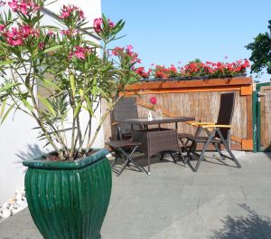 Bild 8: Fewo Hinz auf Rügen erwartet Sie und Ihre Vierbeiner