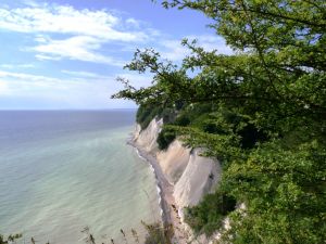 Bild 11: Fewo Hinz auf Rügen erwartet Sie und Ihre Vierbeiner