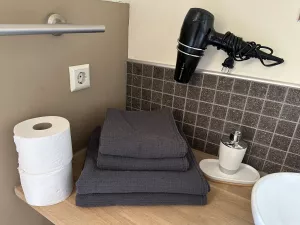 Duschemittel
Shampoo
Handseife
Saunatücher
Badetücher
Handtücher
WC Papier