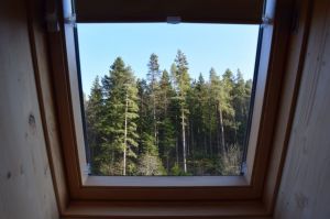 Blick aus dem Fenster
In der Nacht können Sie die Sternen und die Sternschnuppen sehen