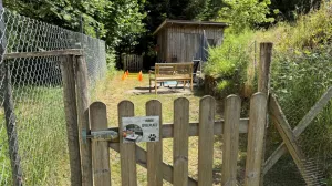 Bild 30: gemütliches DG Einraum Apartment Tannenwipfel mit Infrarotsauna und Garten