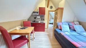 Bild 10: gemütliches DG Einraum Apartment Tannenwipfel mit Infrarotsauna und Garten