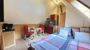 Bild 13: gemütliches DG Einraum Apartment Tannenwipfel mit Infrarotsauna und Garten