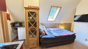 Bild 17: gemütliches DG Einraum Apartment Tannenwipfel mit Infrarotsauna und Garten