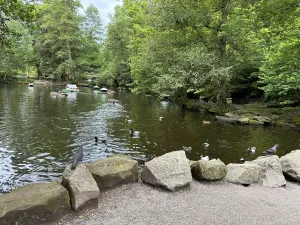 die Enten darf man füttern es steht Vorort ein Futterautomat