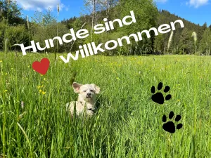 top Ausstattung für Hunde

Hundebett
Näpfe
Handtücher
Spiele

Bäche in der Umgebung zum Baden

Hunde wohnen bei uns gratis