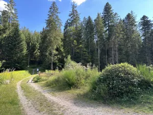Bild 10: Neueröffnung gemütliche FeWo Poppelbach Balkon Panoramablick Kamin