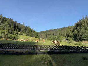 Bild 1: Neueröffnung gemütliche FeWo Poppelbach Balkon Panoramablick Kamin