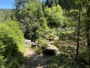 Bild 13: Neueröffnung gemütliche FeWo Poppelbach Balkon Panoramablick Kamin