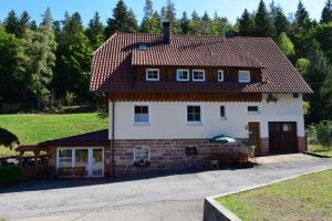 Bild 3: gemütliches DG Einraum Apartment Tannenwipfel mit Infrarotsauna und Garten