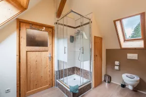 Bild 22: gemütliches DG Einraum Apartment Tannenwipfel mit Infrarotsauna und Garten