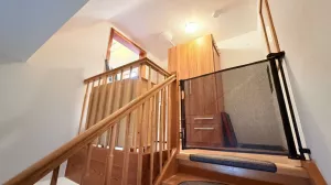 Hundefreundliche Treppen