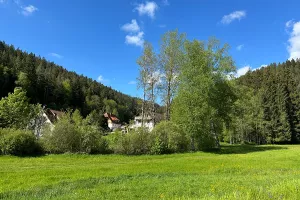 Bild 35: gemütliches DG Einraum Apartment Tannenwipfel mit Infrarotsauna und Garten