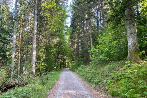 Eingang zum Bärlochkar