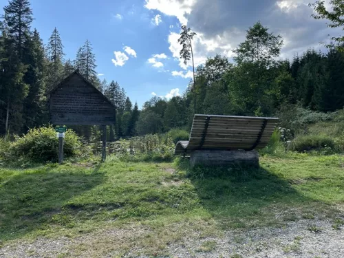 Kaltenbachsee Wanderweg