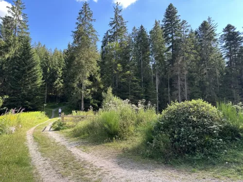 Kaltenbachsee Wanderweg