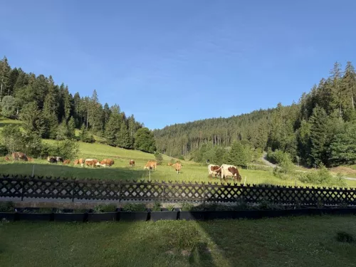 Landhaus Zwink Poppeltal