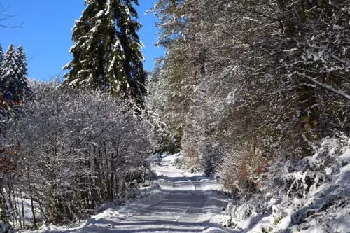 Winterwandern
