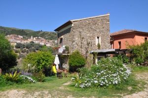 Bild 3: Cilento, Castellabate - B&B in schöner, ruhiger Hang-Einzellage in Meernähe
