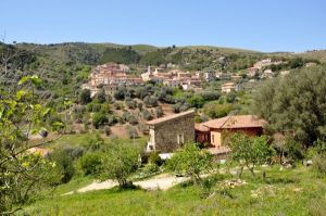 Bild 2: Cilento, Castellabate - B&B in schöner, ruhiger Hang-Einzellage in Meernähe
