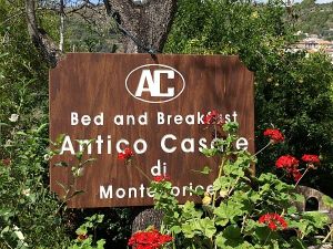 Bild 1: Cilento, Castellabate - B&B in schöner, ruhiger Hang-Einzellage in Meernähe