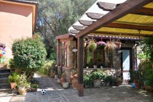 Bild 10: Cilento, Castellabate - B&B in schöner, ruhiger Hang-Einzellage in Meernähe