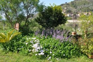 Bild 6: Cilento, Castellabate - B&B in schöner, ruhiger Hang-Einzellage in Meernähe