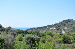 Bild 13: Cilento, Castellabate - B&B in schöner, ruhiger Hang-Einzellage in Meernähe