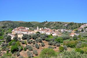 Bild 12: Cilento, Castellabate - B&B in schöner, ruhiger Hang-Einzellage in Meernähe