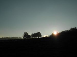 Bild 24: Ferienwohnung für 2 Personen im Schmallenberger - Sauerland - auch mit Hund