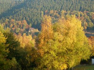 Bild 27: Ferienwohnung für 2 Personen im Schmallenberger - Sauerland - auch mit Hund