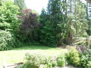 Ausblick von Balkon und Wohnzimmer