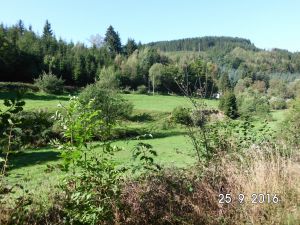 Bild 15: Ferienwohnung für 2 Personen im Schmallenberger - Sauerland - auch mit Hund