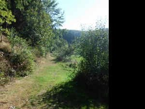 Bild 16: Ferienwohnung für 2 Personen im Schmallenberger - Sauerland - auch mit Hund