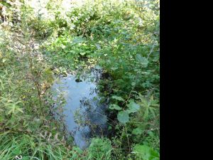 Bild 17: Ferienwohnung für 2 Personen im Schmallenberger - Sauerland - auch mit Hund