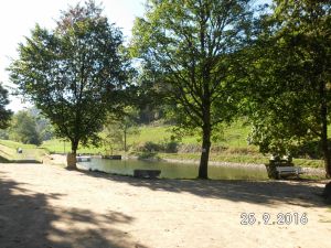 Bild 18: Ferienwohnung für 2 Personen im Schmallenberger - Sauerland - auch mit Hund